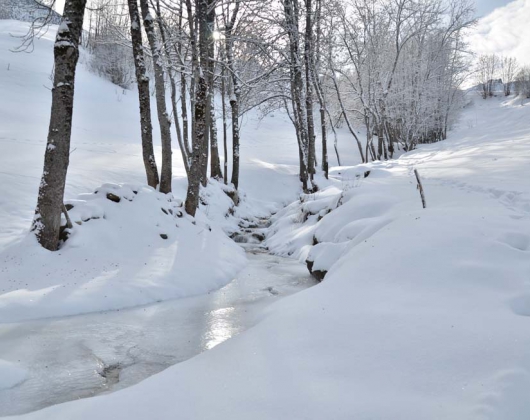 Média réf. 38 (7/12): The small stream that flows at the bottom of the chalet